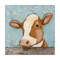 Trademark Fine Art Jade Reynolds 'Daisy Cow' Canvas Art, 14x14 WAG11194-C1414GG